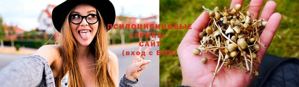 jwh Богданович