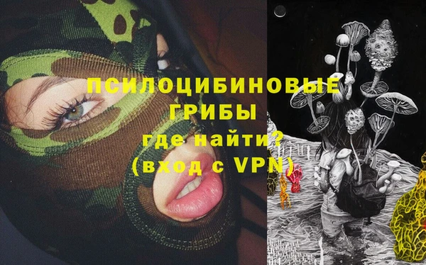 первитин Богородицк