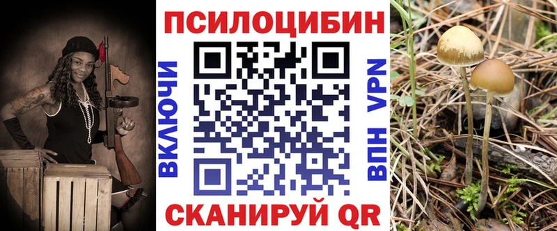 Псилоцибиновые грибы GOLDEN TEACHER  Крым 